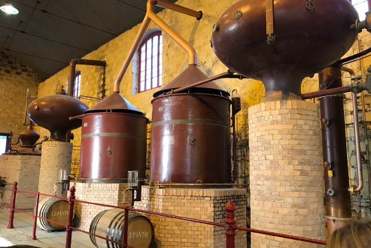 weinkeller-2-SA